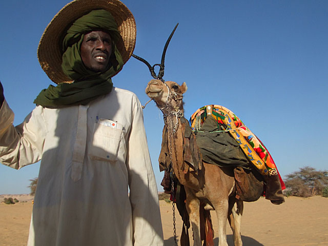 EclipseCampCamel