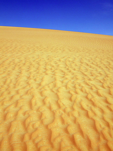 Sandy