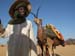 EclipseCampCamel
