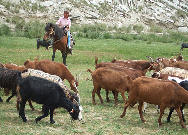 GoatRoad