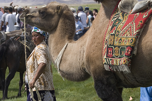 zBulganNaadamCamels
